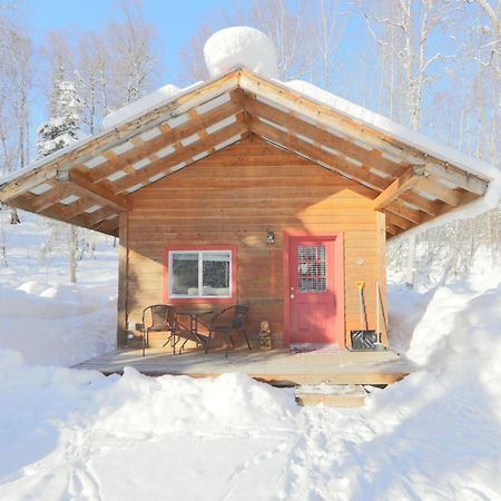 Birch Cabin Talkeetna Ngoại thất bức ảnh